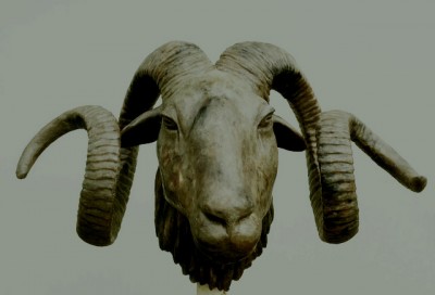 Ramskop, Hans Grootswagers